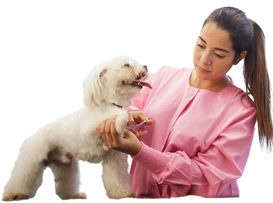 Vetera veterinary care platform